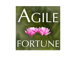 Agile Fortune